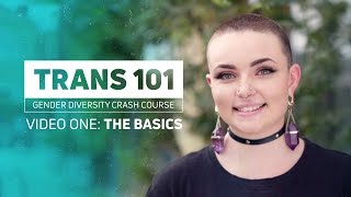 Trans 101  The Basics [upl. by Elem186]