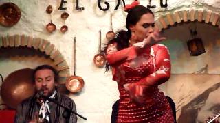 Sacromonte Flamenco in Granada [upl. by Atsirc]