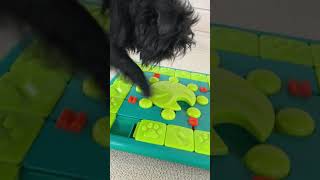 Dog Puzzle Game  MultiPuzzle by Nina Ottosson [upl. by Nauqet]