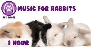 Music for Rabbits Music to Relax Rabbits Happy Bunny Music [upl. by Bartlett775]