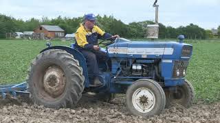 FORD 3000 AND OLIVER CULTIVATOR [upl. by Cargian]