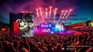 Mantra vs I Follow Rivers Salvatore Ganacci Mashup Tomorrowland 2018 W2 DJ Molins Edit [upl. by Tristam]