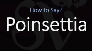 How to Pronounce Poinsettia CORRECTLY [upl. by Eiramyelhsa]