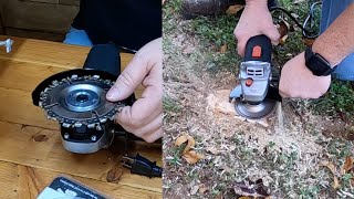 How To Get Rid Of Tree Roots FAST [upl. by Jaeger]