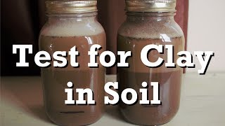 Test for Clay in Soil [upl. by Laeira868]