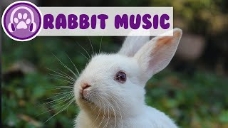 Music for Rabbits  Calm and Soothe Your Anxious Rabbit and Help Them Sleep [upl. by Nivlak]