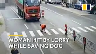 Chinese woman trying to save dog gets hit by lorry [upl. by Nahtanoj]