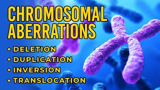 Inherited Genetic Disorders  Genetics  Biology  FuseSchool [upl. by Anirtac128]