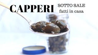 COME FARE I CAPPERI SOTTO SALE Facilissimo  RICETTE DI GABRI [upl. by Fogg609]