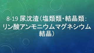 819 尿沈渣（塩類類・結晶類：リン酸アンモニウムマグネシウム結晶） [upl. by Haydon]