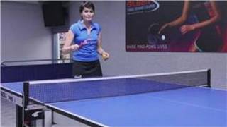 Table Tennis  Ping Pong Shot Techniques [upl. by Bohaty]