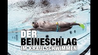 Kraulschwimmen Warum Beineschwimm Sets wichtig sind  SWIMAZING UNIVERSITY [upl. by Iaka]