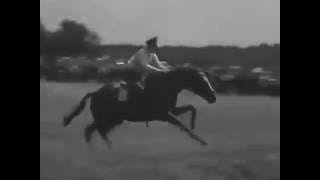 Leni Riefenstahl  Olympia  Equestrian Footage  36 olympics [upl. by Roselle]