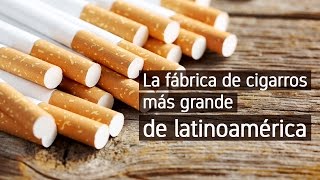 La fábrica de cigarros más grande de Latinoamérica [upl. by Sawyer]