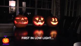 How To Make a Singing Pumpkins Halloween Display  Jack O Lantern Jamboree [upl. by Nedroj502]