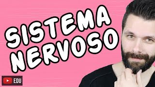 SISTEMA NERVOSO  FISIOLOGIA  Aula  Biologia com Samuel Cunha [upl. by Haleemak420]