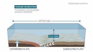 Tsunami caused by earthquakes [upl. by Esadnac]