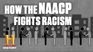 How the NAACP Fights Racial Discrimination  History [upl. by Crescint]