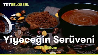 Yiyeceğin Serüveni  Çikolata  TRT Belgesel [upl. by Barrie]