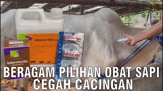 Beragam Pilihan Obat Cacing Yang Biasa Digunakan Peternak Sapi Dan Kambing [upl. by Byrn]