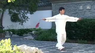 Yang Family Tai Chi Sword Form [upl. by Olnek]