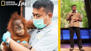 Saving Orangutans in Sumatras Disappearing Rain Forests  Nat Geo Live [upl. by Aer604]