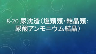 820 尿沈渣（塩類類・結晶類：尿酸アンモニウム結晶） [upl. by Letnoj]