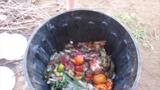 How to start a compost bin [upl. by Carberry]