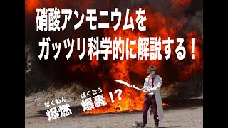 硝酸アンモニウムをガッツリ科学的に解説する！【ハーバーボッシュ法】 [upl. by Demmahum]