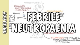 Fever and Neutropenia by K Greenzang J Marron K Schlosser  OPENPediatrics [upl. by Catarina]