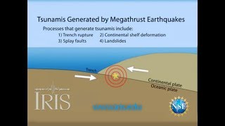 Tsunamis Generated by Megathrust Earthquakes [upl. by Loftis]