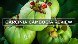 Garcinia Cambogia Weight Loss amp Side Effects  Review [upl. by Neirbo]