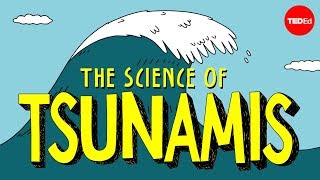 How tsunamis work  Alex Gendler [upl. by Eenot]