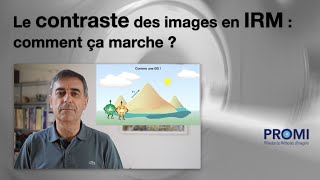 Le contraste des images en IRM  comment ça marche [upl. by Ami409]