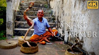 Snake Charmer 4k Cobra Dancing Flute Amazing Street Performer Sri Lanka [upl. by Yeldua]