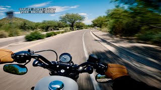 Harley Davidson FortyEight 48 Pure Engine Sound [upl. by Alfredo]