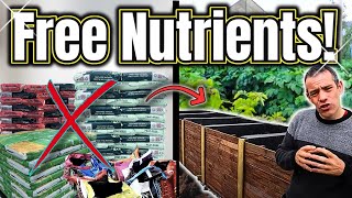 Stop Buying Compost Build This Bin Instead [upl. by Archangel]