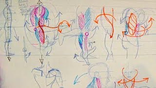 How to Draw Human Anatomy Part 1  Beginner Introduction [upl. by Sido625]