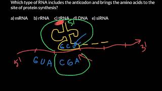 Codons and anticodons explained [upl. by Catherine]