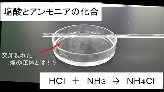 実験 塩酸とアンモニアの化合 ゆっくり実験解説 [upl. by Terris]