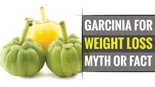 Does Garcinia Cambogia helps in Quick Weight Loss [upl. by Sualakcin]