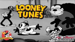 Bosko and Honey  Looney Tunes [upl. by Florio]