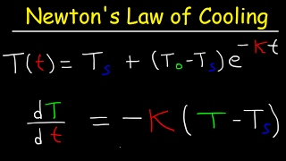 Newtons Law of Cooling Calculus Example Problems Differential Equations [upl. by Africa]