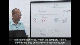 Neutrophils and How White Blood Cells Work [upl. by Nnire]