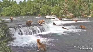 Super Epic Bearapalooza 17 Brown Bears at Brooks Falls 2 hours uninterrupted [upl. by Ellenohs]