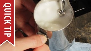 How to AutoFroth Milk for Lattes [upl. by Eyak147]