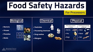 HACCP Food Safety Hazards [upl. by Amik843]