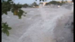 Shocking Footage of the 2011 Tsunami Hitting Hawaii [upl. by Lowenstern874]