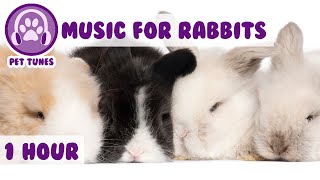 Music for Bunny Rabbits  Calming Music for Your Pet Rabbit [upl. by Ilac709]