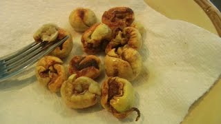 Cooking With Malabar Chestnuts  Pachira aquatica  Saba Nut  Video [upl. by Vories]